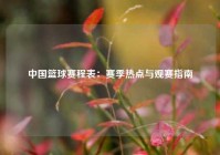 中国篮球赛程表：赛季热点与观赛指南