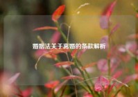 婚姻法关于离婚的条款解析