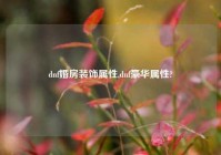 dnf婚房装饰属性,dnf豪华属性?