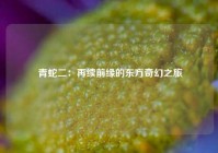  青蛇二：再续前缘的东方奇幻之旅