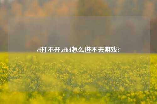 cf打不开,cfhd怎么进不去游戏?