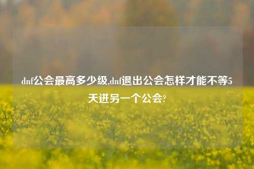 dnf公会最高多少级,dnf退出公会怎样才能不等5天进另一个公会?