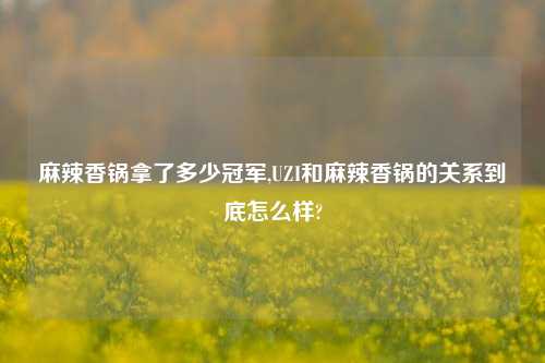 麻辣香锅拿了多少冠军,UZI和麻辣香锅的关系到底怎么样?
