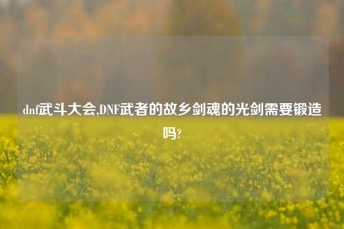 dnf武斗大会,DNF武者的故乡剑魂的光剑需要锻造吗?
