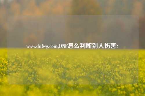 www.dnfwg.com,DNF怎么判断别人伤害?