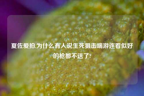 夏佐爱拍,为什么有人说生死狙击端游连看似好的枪都不送了?