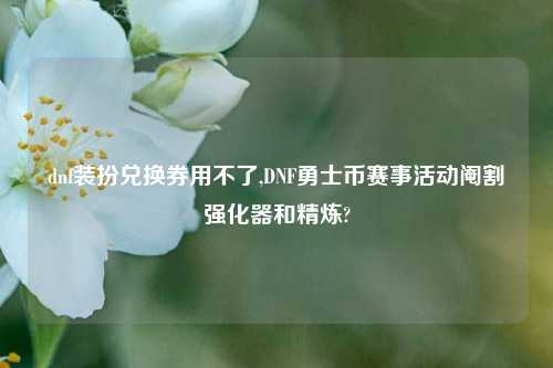dnf装扮兑换券用不了,DNF勇士币赛事活动阉割强化器和精炼?