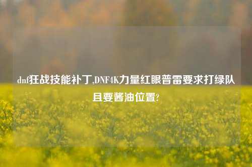 dnf狂战技能补丁,DNF4K力量红眼普雷要求打绿队且要酱油位置?