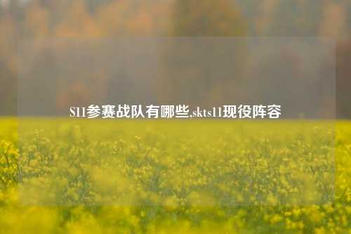 S11参赛战队有哪些,skts11现役阵容