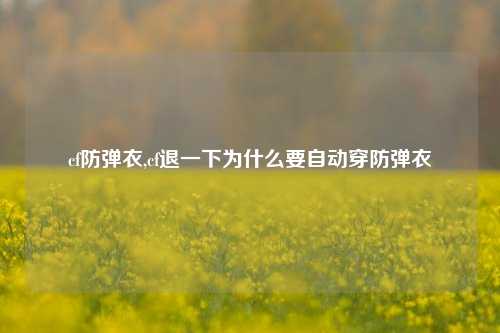 cf防弹衣,cf退一下为什么要自动穿防弹衣