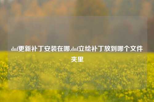dnf更新补丁安装在哪,dnf立绘补丁放到哪个文件夹里
