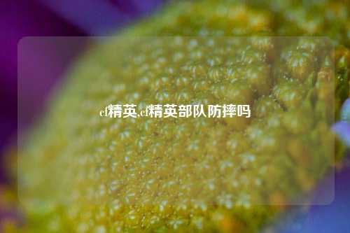 cf精英,cf精英部队防摔吗