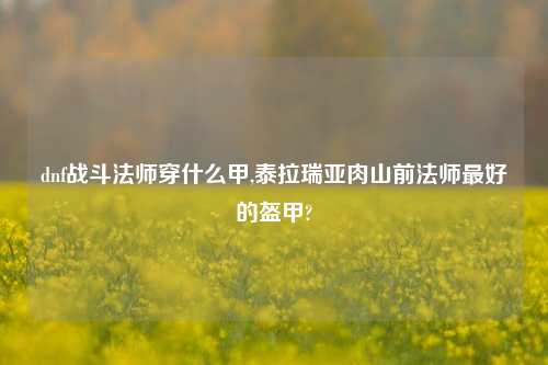 dnf战斗法师穿什么甲,泰拉瑞亚肉山前法师最好的盔甲?