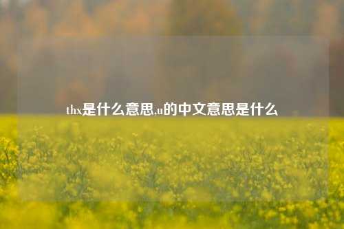 thx是什么意思,u的中文意思是什么