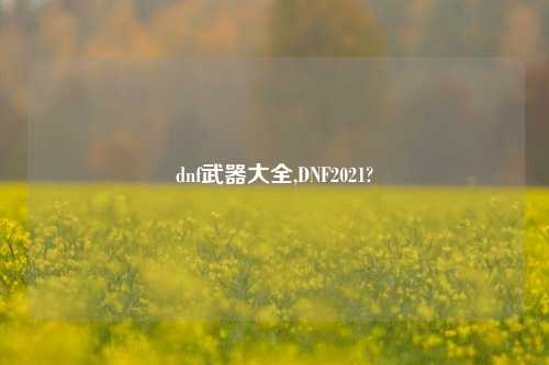 dnf武器大全,DNF2021?