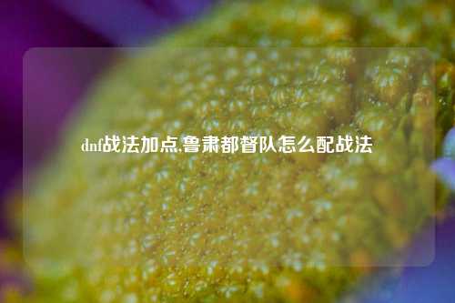 dnf战法加点,鲁肃都督队怎么配战法