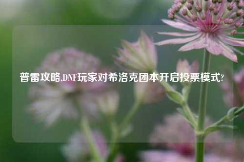 普雷攻略,DNF玩家对希洛克团本开启投票模式?