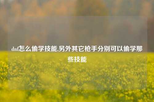 dnf怎么偷学技能,另外其它枪手分别可以偷学那些技能