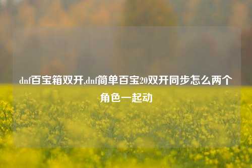 dnf百宝箱双开,dnf简单百宝20双开同步怎么两个角色一起动