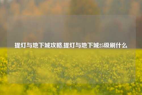 提灯与地下城攻略,提灯与地下城25级刷什么