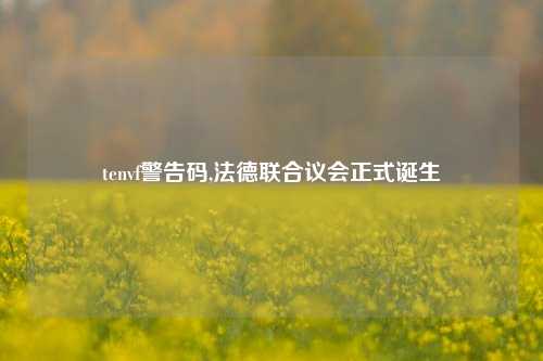tenvf警告码,法德联合议会正式诞生