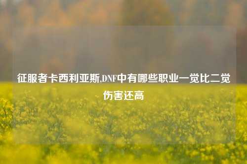 征服者卡西利亚斯,DNF中有哪些职业一觉比二觉伤害还高
