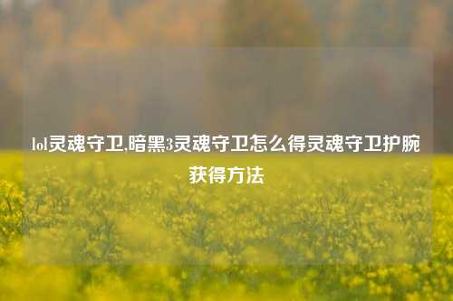 lol灵魂守卫,暗黑3灵魂守卫怎么得灵魂守卫护腕获得方法