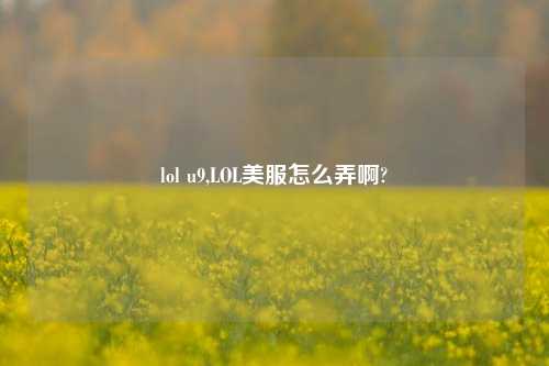 lol u9,LOL美服怎么弄啊?