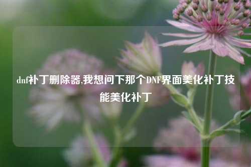 dnf补丁删除器,我想问下那个DNF界面美化补丁技能美化补丁
