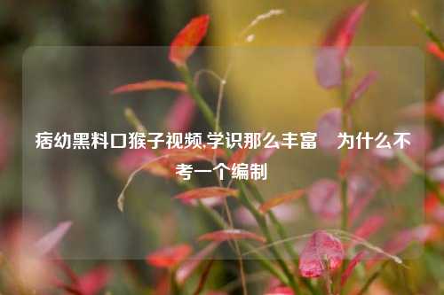 痞幼黑料口猴子视频,学识那么丰富​为什么不考一个编制​