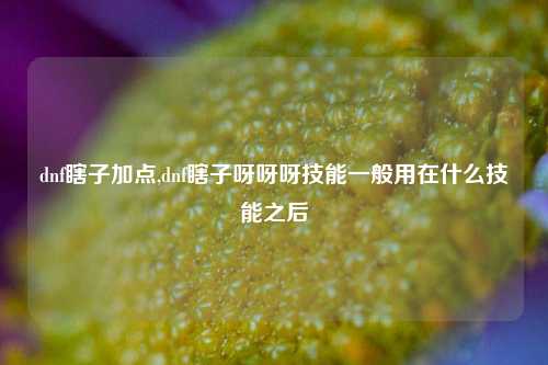 dnf瞎子加点,dnf瞎子呀呀呀技能一般用在什么技能之后