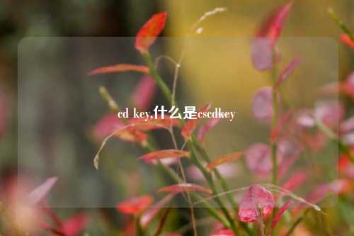 cd key,什么是cscdkey