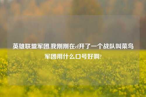 英雄联盟军团,我刚刚在cf开了一个战队叫菜鸟军团用什么口号好啊?