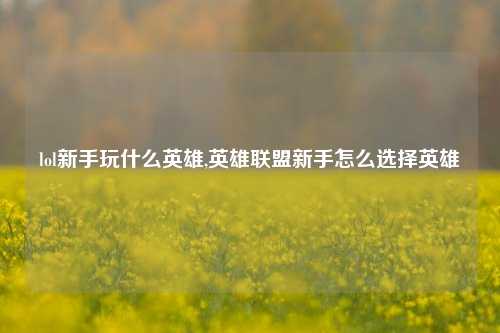 lol新手玩什么英雄,英雄联盟新手怎么选择英雄