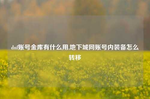 dnf账号金库有什么用,地下城同账号内装备怎么转移