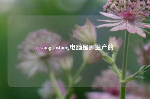 cc omg,sustomg电脑是哪里产的
