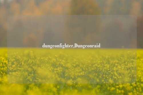 dungeonfighter,Dungeonraid