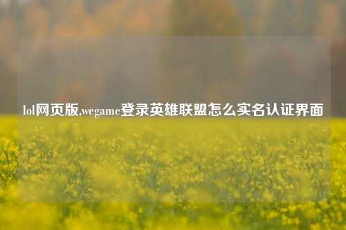 lol网页版,wegame登录英雄联盟怎么实名认证界面