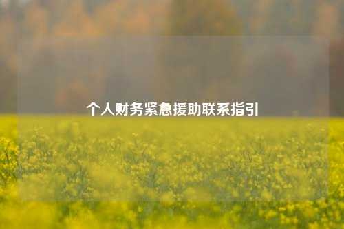 个人财务紧急援助联系指引