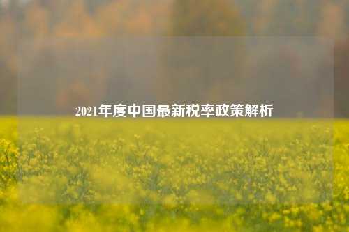 2021年度中国最新税率政策解析