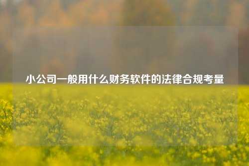 小公司一般用什么财务软件的法律合规考量
