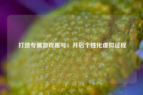  打造专属游戏账号：开启个性化虚拟征程