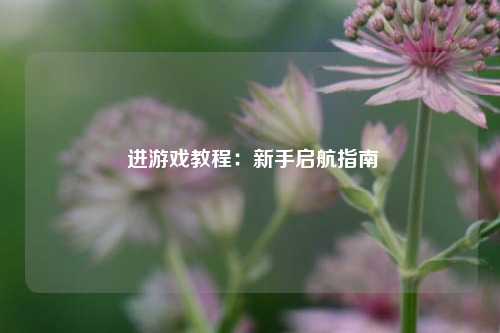  进游戏教程：新手启航指南