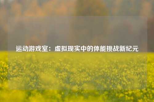 运动游戏室：虚拟现实中的体能挑战新纪元