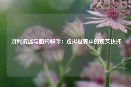 游戏沉迷与婚约解除:虚拟世界中的现实抉择