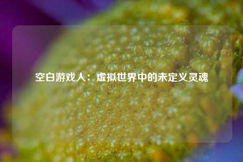 空白游戏人:虚拟世界中的未定义灵魂