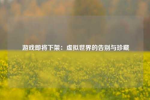 游戏即将下架:虚拟世界的告别与珍藏