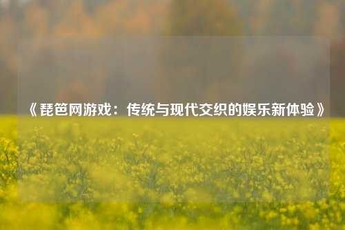 《琵笆网游戏：传统与现代交织的娱乐新体验》