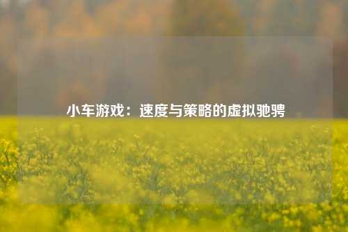 小车游戏:速度与策略的虚拟驰骋