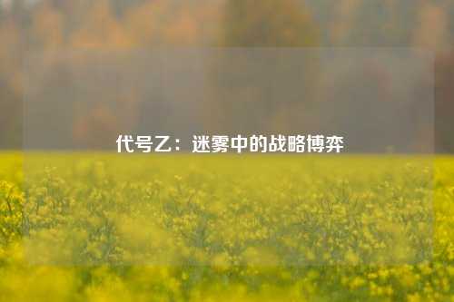  代号乙：迷雾中的战略博弈